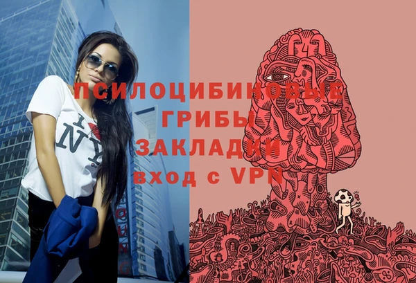 2c-b Заволжье