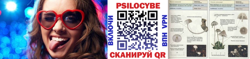 Галлюциногенные грибы GOLDEN TEACHER  кракен ТОР  Избербаш 