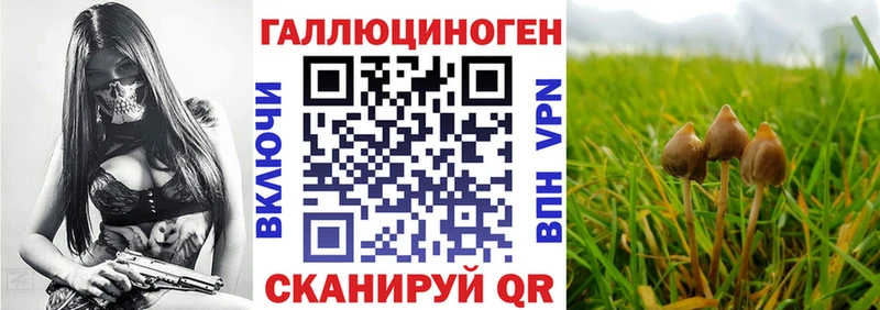 Псилоцибиновые грибы ЛСД Избербаш